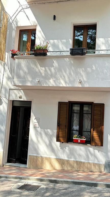 ホテル Casa Del Corso ドルガーリ エクステリア 写真